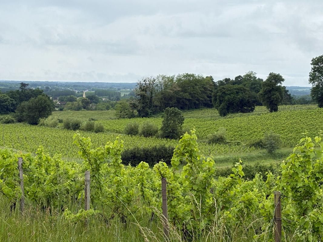 SAINTE-CROIX-DU-MONT DOMAINE D'EXCEPTION SUR LES COTEAUX DE SAINTE CROIX DU MONT : UN FORT POTENTIEL ENTRE CIEL ET VIGNES 3