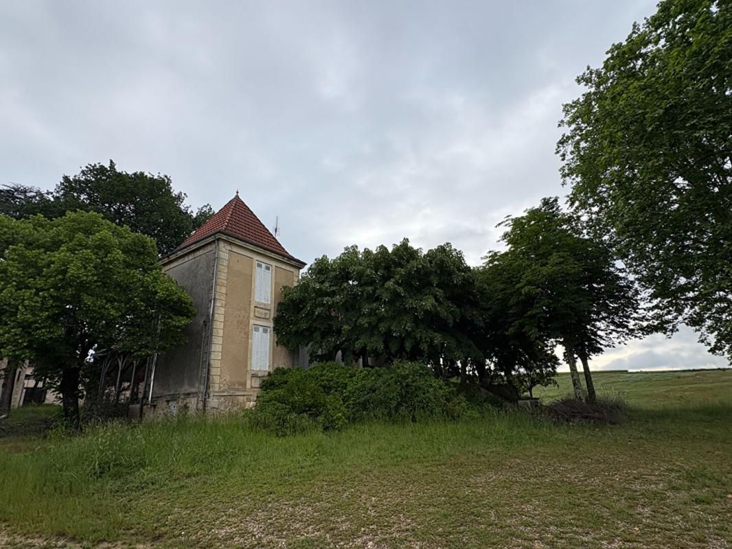 LANGON DOMAINE D'EXCEPTION SUR LES COTEAUX : UN FORT POTENTIEL ENTRE CIEL ET VIGNES 3