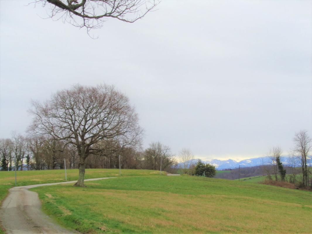 BIDACHE terrain constructible 5 ha PAYS BASQUE 3