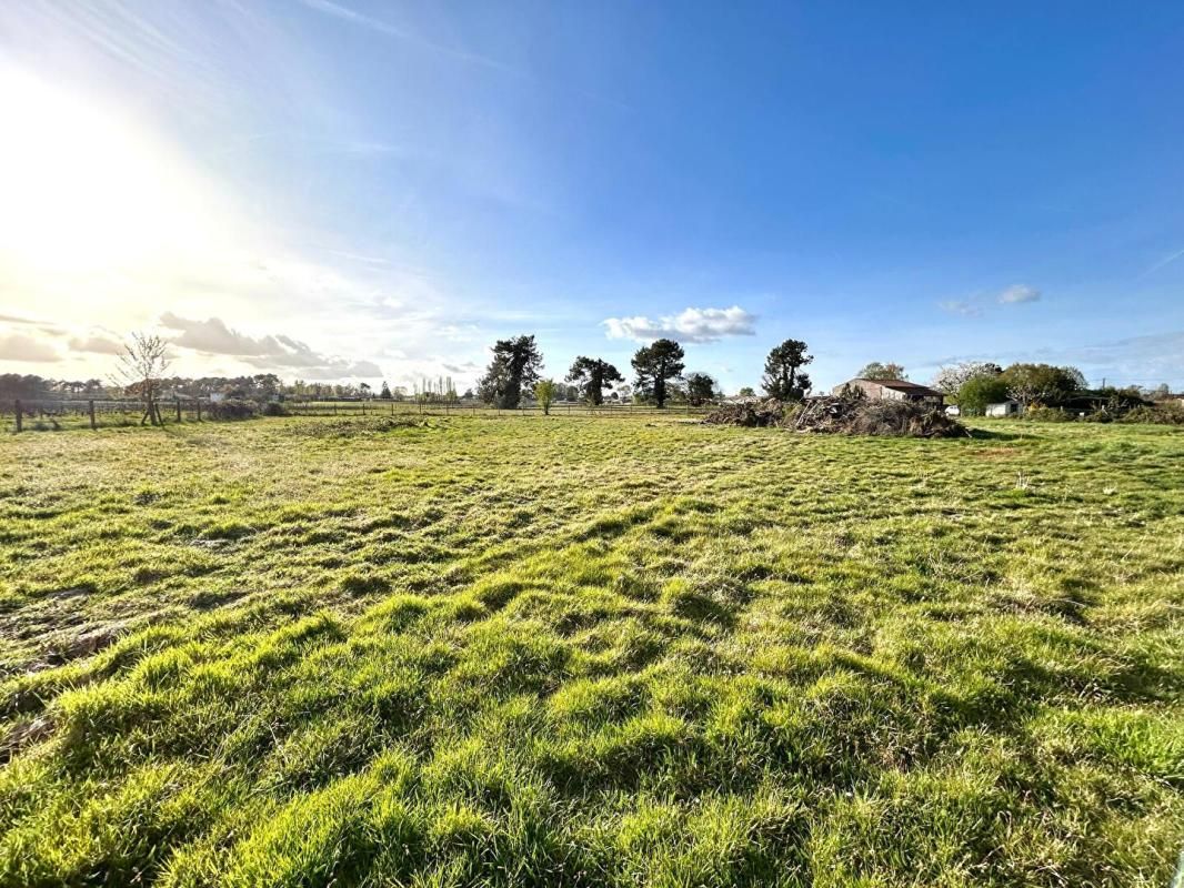 PUGNAC Terrain  à bâtir pour locaux Industriels et Commerciaux   -  4724 m2 - LOTS C1 et C2 2