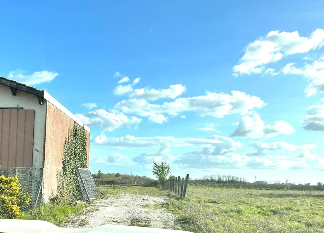 PUGNAC Terrain  à bâtir pour locaux Industriels et Commerciaux   -  4724 m2 - LOTS C1 et C2 4