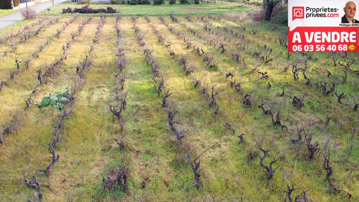 SAINTE-CECILE-LES-VIGNES Terrain plein sud à  Sainte Cécile Les Vignes 1