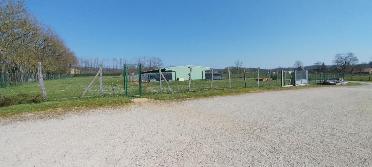 DIJON 21000 DIJON 40 MINUTES - Fonds de commerce + Murs PENSION CANINE 123 M² en parfait état sur terrain 1 hectare 2