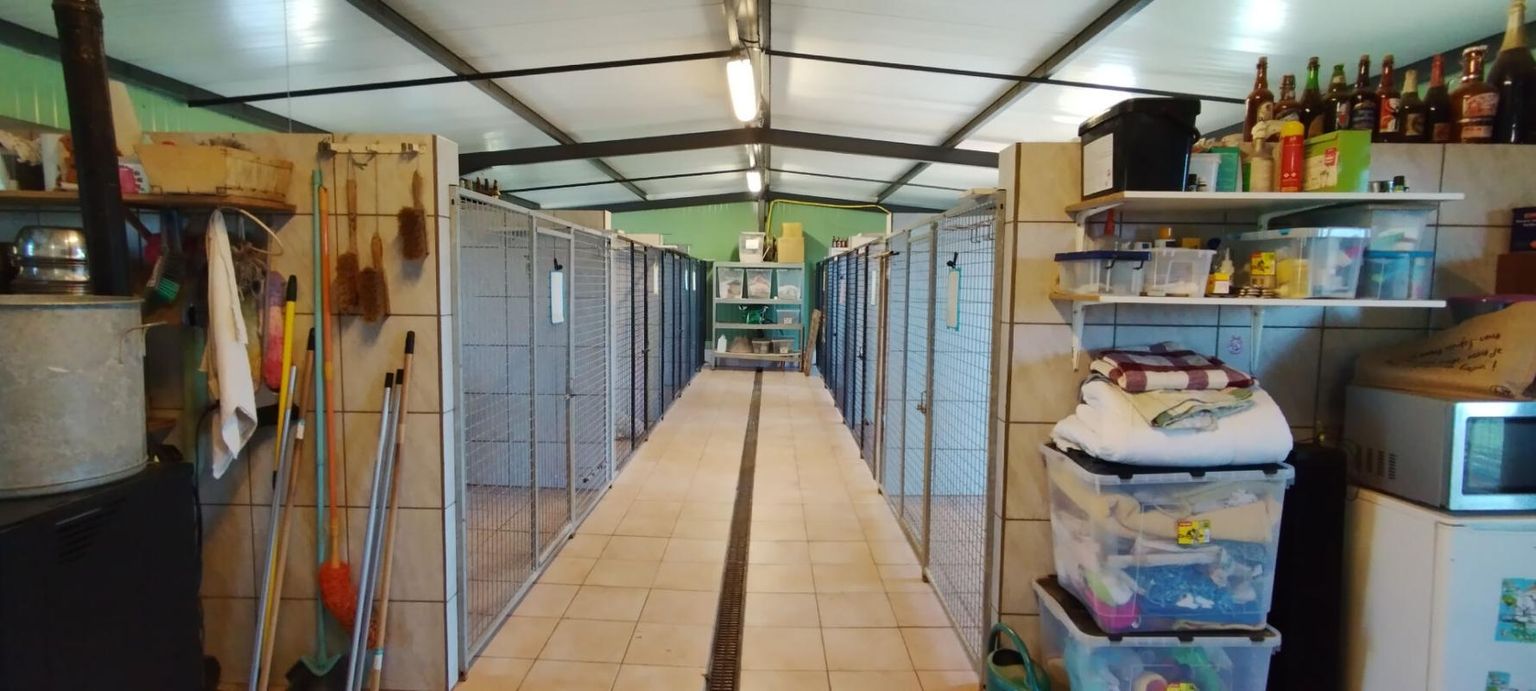 DIJON 21000 DIJON 40 MINUTES - Fonds de commerce + Murs PENSION CANINE 123 M² en parfait état sur terrain 1 hectare 3