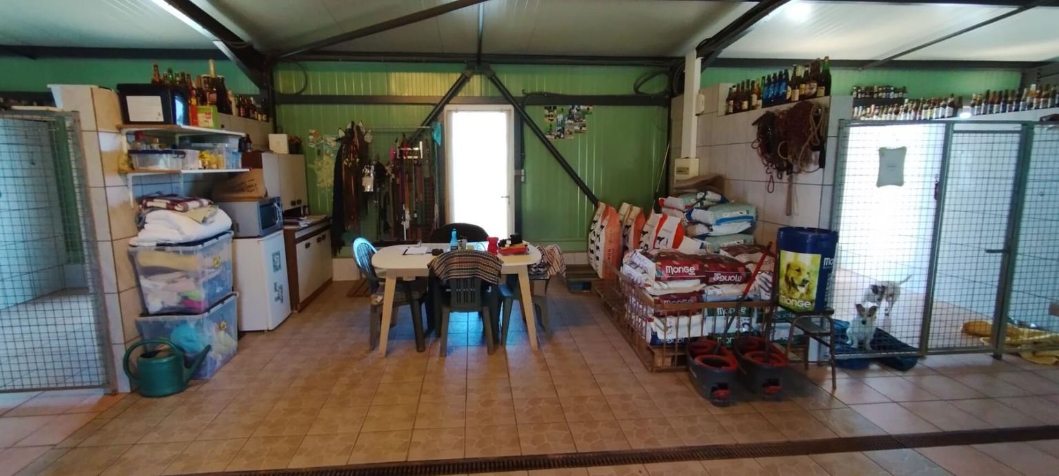 DIJON 21000 DIJON 40 MINUTES - Fonds de commerce + Murs PENSION CANINE 123 M² en parfait état sur terrain 1 hectare 4