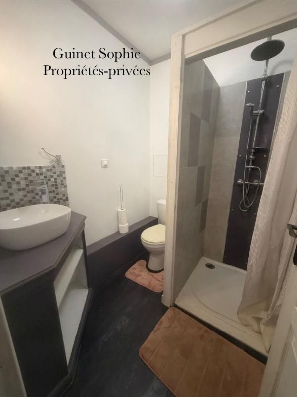 SAINTE-HERMINE Maison Sainte Hermine 14 pièce(s) 332.6 m2 4