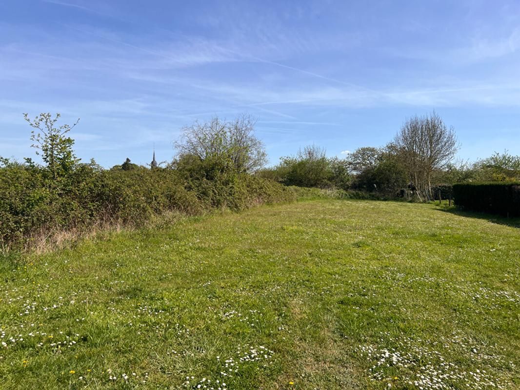 BEAUFAY Terrain à Allotir - Beaufay - 7266 m² 2