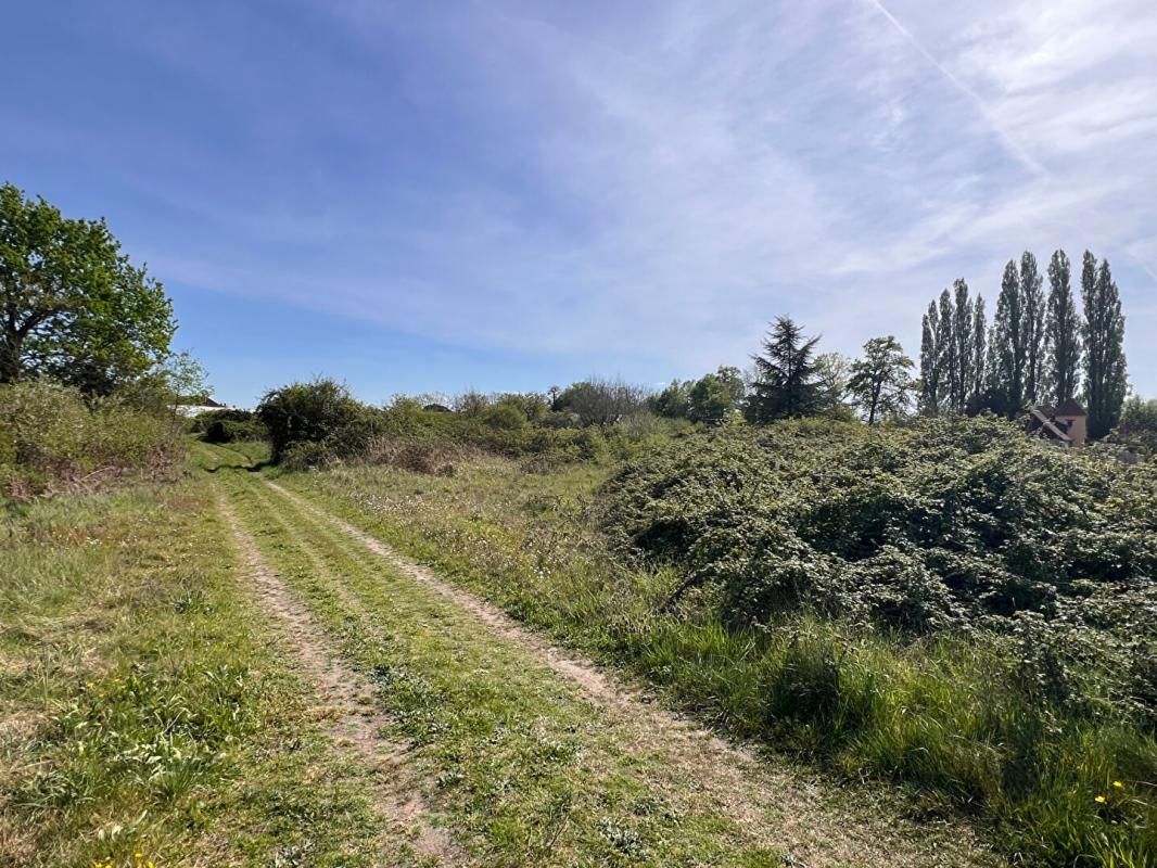 BEAUFAY Terrain à Allotir - Beaufay - 7266 m² 3