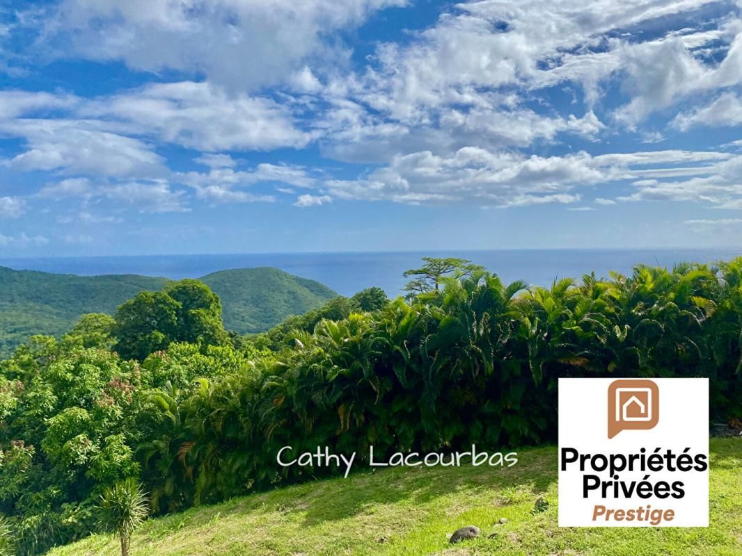 TERRAIN D'EXCEPTION AVEC VUE PANORAMIQUE MER & MONTAGNE - Pointe Noire 1500 m2