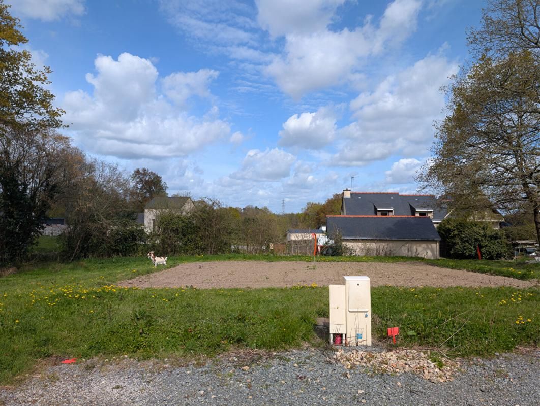 Terrain libre constructeur