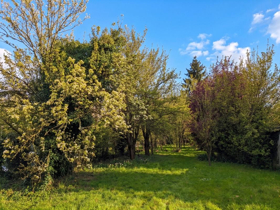 OSNY Terrain à vendre à Osny - Division ou multi-construction possible 3