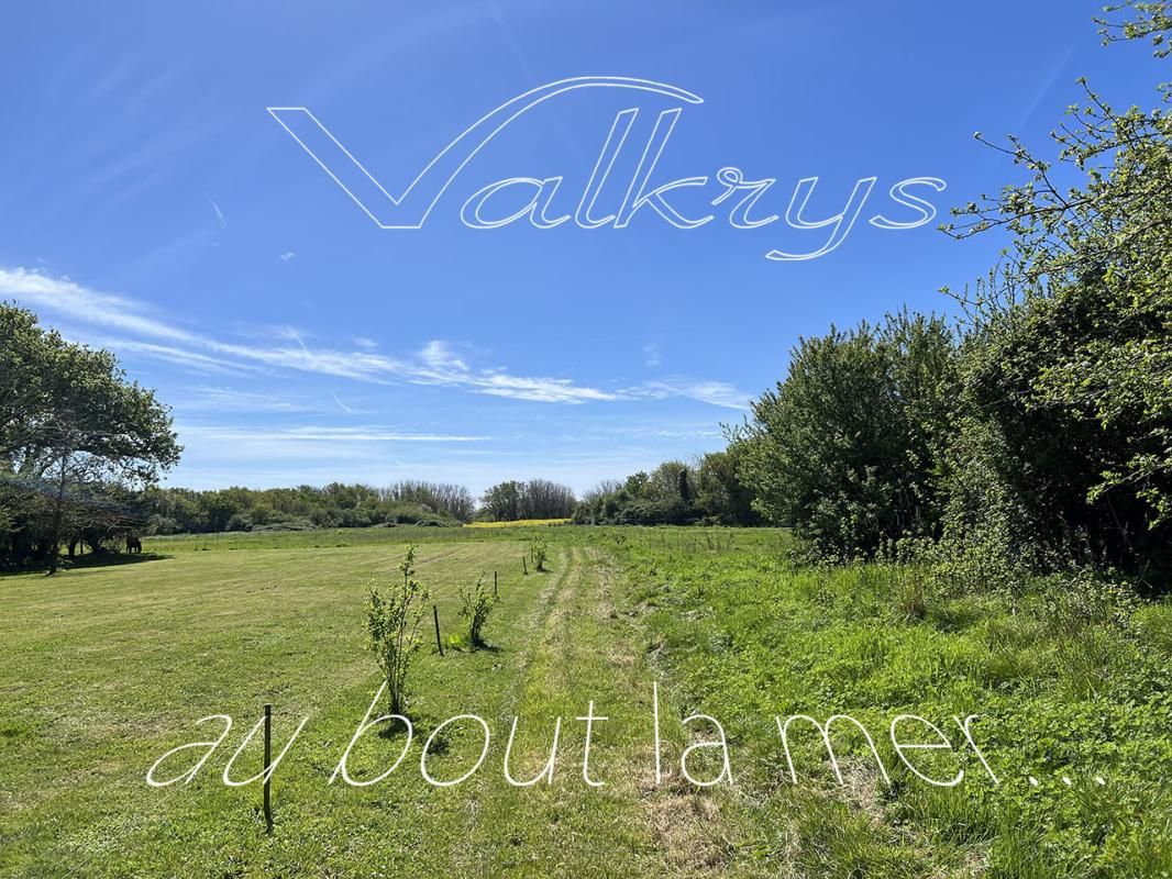 MOELAN-SUR-MER Ensemble immobilier longères à rénover - Brigneau 29350 2