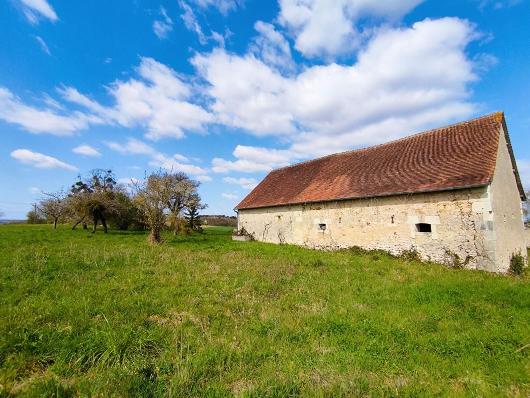 CHAUMUSSAY Longère Chaumussay 5 pièce(s) 109 m2 sur 2 Ha 4
