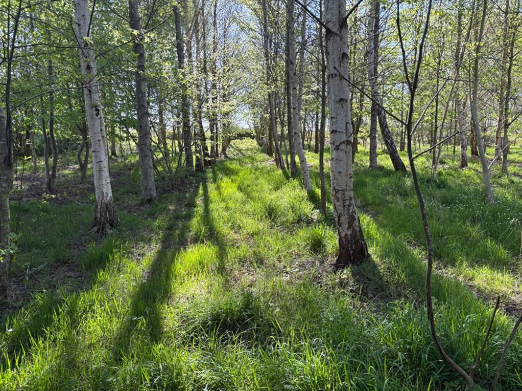 MARCILLE-RAOUL Terrain de loisirs 4