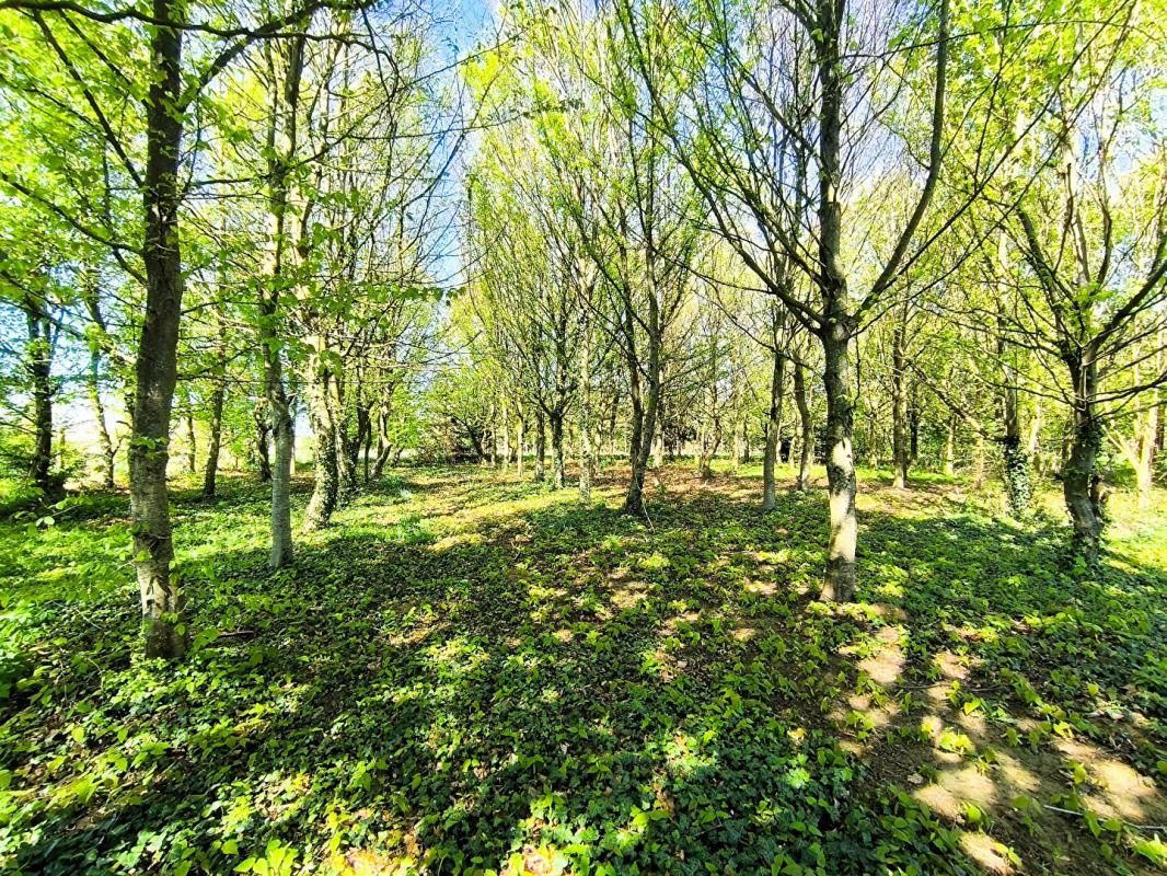 FERRIERES-EN-BRAY Grange Ferrieres En Bray 5 pièces 95.78 m2 4