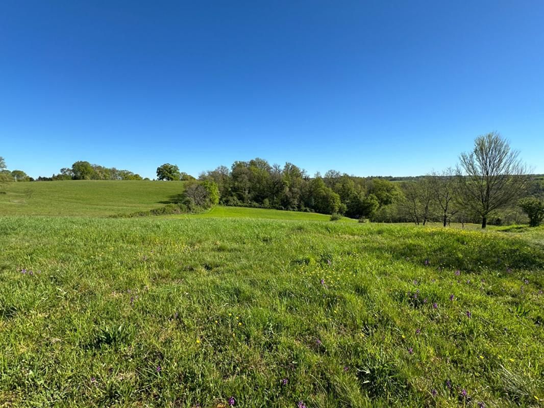 CORGNAC-SUR-L'ISLE TERRAIN A BATIR 3