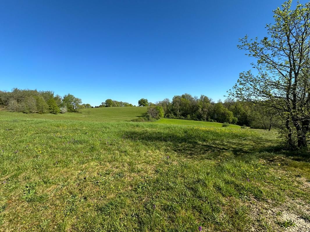 CORGNAC-SUR-L'ISLE TERRAIN A BATIR 4