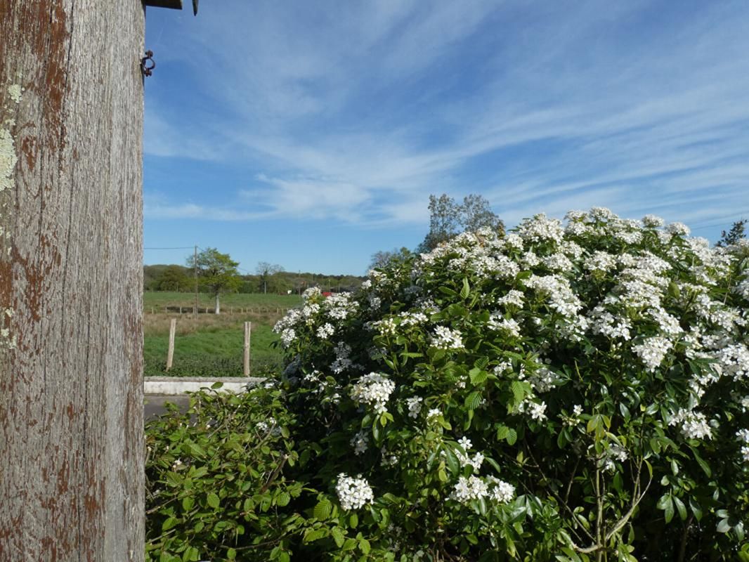 BLAIN Maison  d'architecte de 200m2 - en très bon état - sur près 95 000m2 ! 3