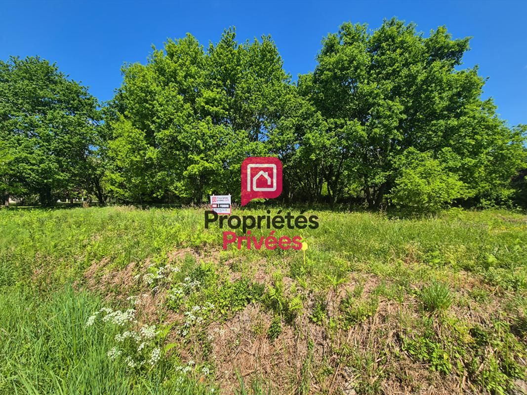 BAZAS TERRAIN CONSTRUCTIBLE - NON VIABILISE - 1595 m2 2