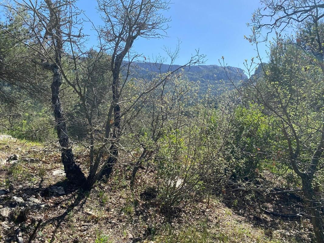 Terrain Plan D Aups Sainte Baume 2000 m2