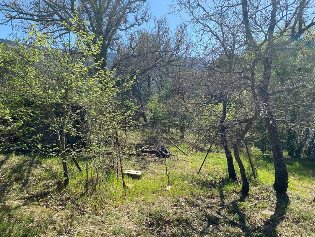 PLAN-D'AUPS-SAINTE-BAUME Terrain Plan D Aups Sainte Baume 2000 m2 2