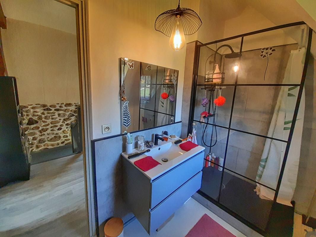 BUZY Charmante demeure en pierre avec vaste sous-sol et jardin paysager 4