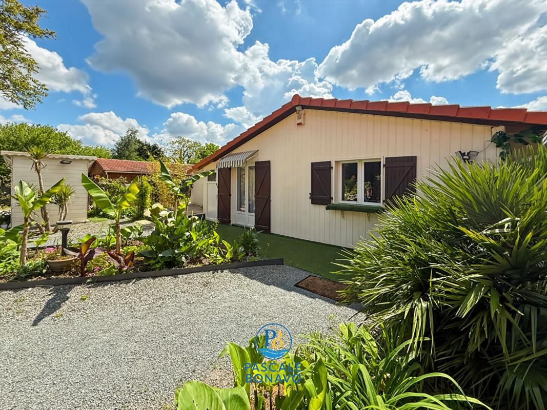 VENDAYS-MONTALIVET EXCLUSIVITE - Propriété 3 gîtes et maison de 136m2 - Magnifique Parc 2