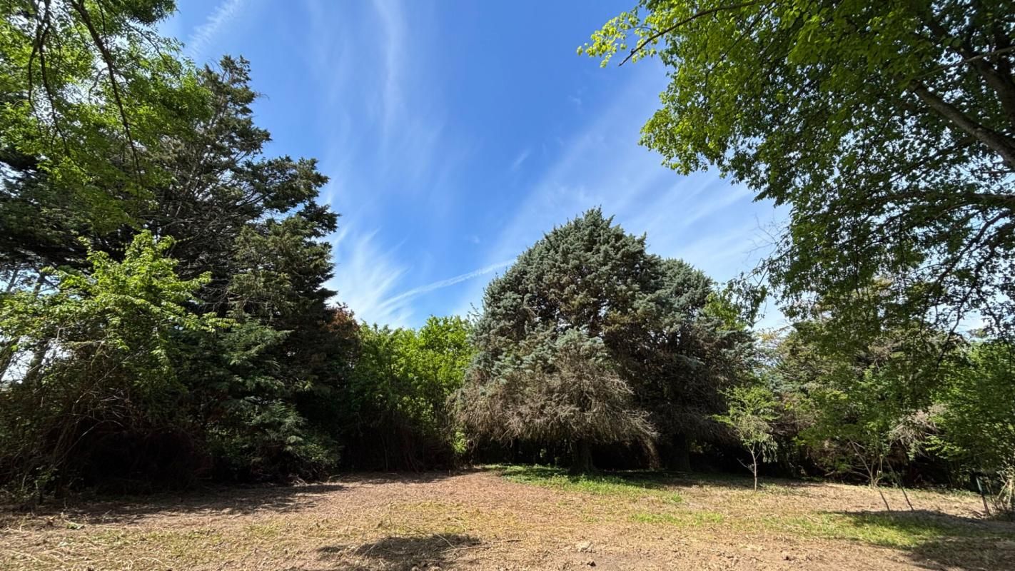 LA BOHALLE Maison bourgeoise au coeur des bors de Loire 6 pièce(s) 175m2 4