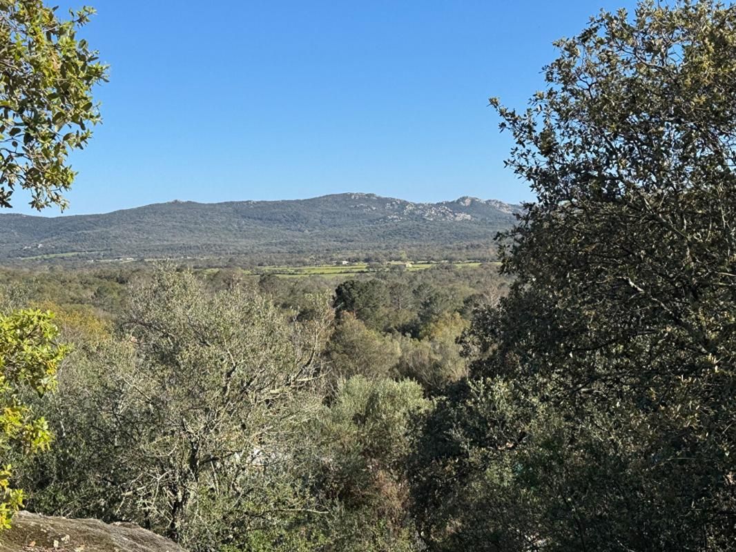SOTTA Bergerie d'exception au coeur du maquis ? Porto-Vecchio 4