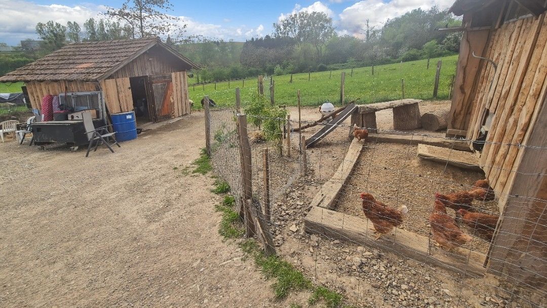 SOULTZ-SOUS-FORETS Terrain de loisir aménagé d'environ 3 000 m² Hoffen 2