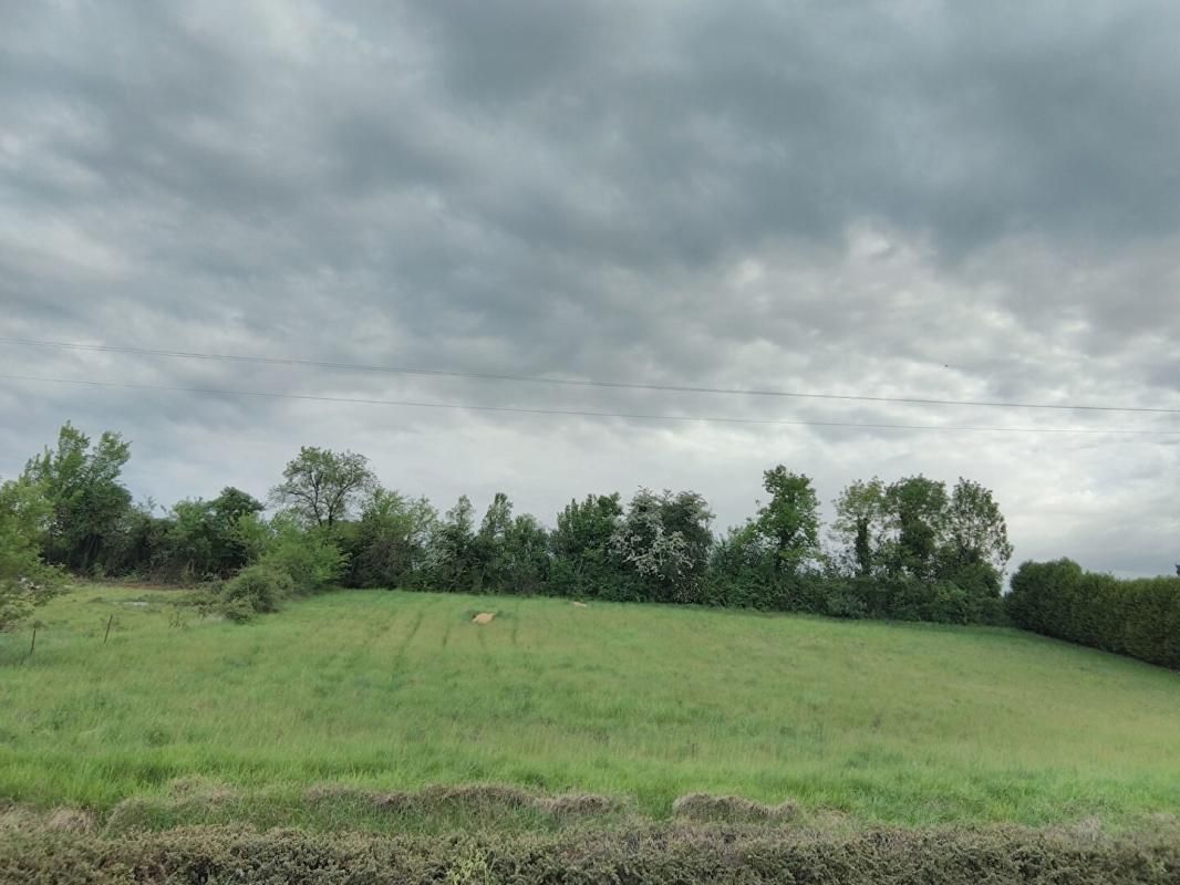 NIHERNE Terrain  1207 m2 1