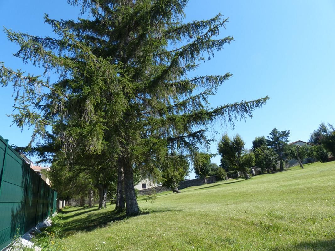 LE PUY-EN-VELAY Terrain à bâtir 5178 m² au Puy En Velay 2