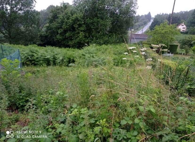 LA SAUVAGERE Terrain constructible et viabilisé Les Monts d'Andaine 860 m2 3