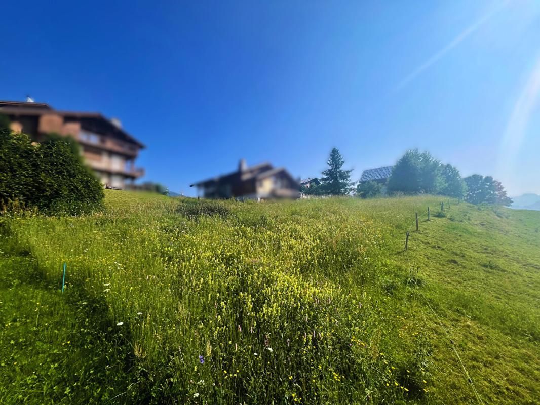 CREST-VOLAND Terrain à bâtir Crest Voland 1327 m2 3