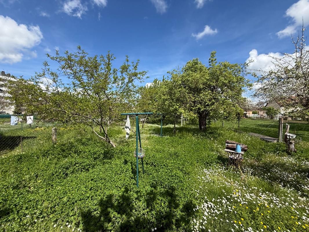 YZEURE Maison Yzeure avec dépendance cave Jardin puits atelier 4