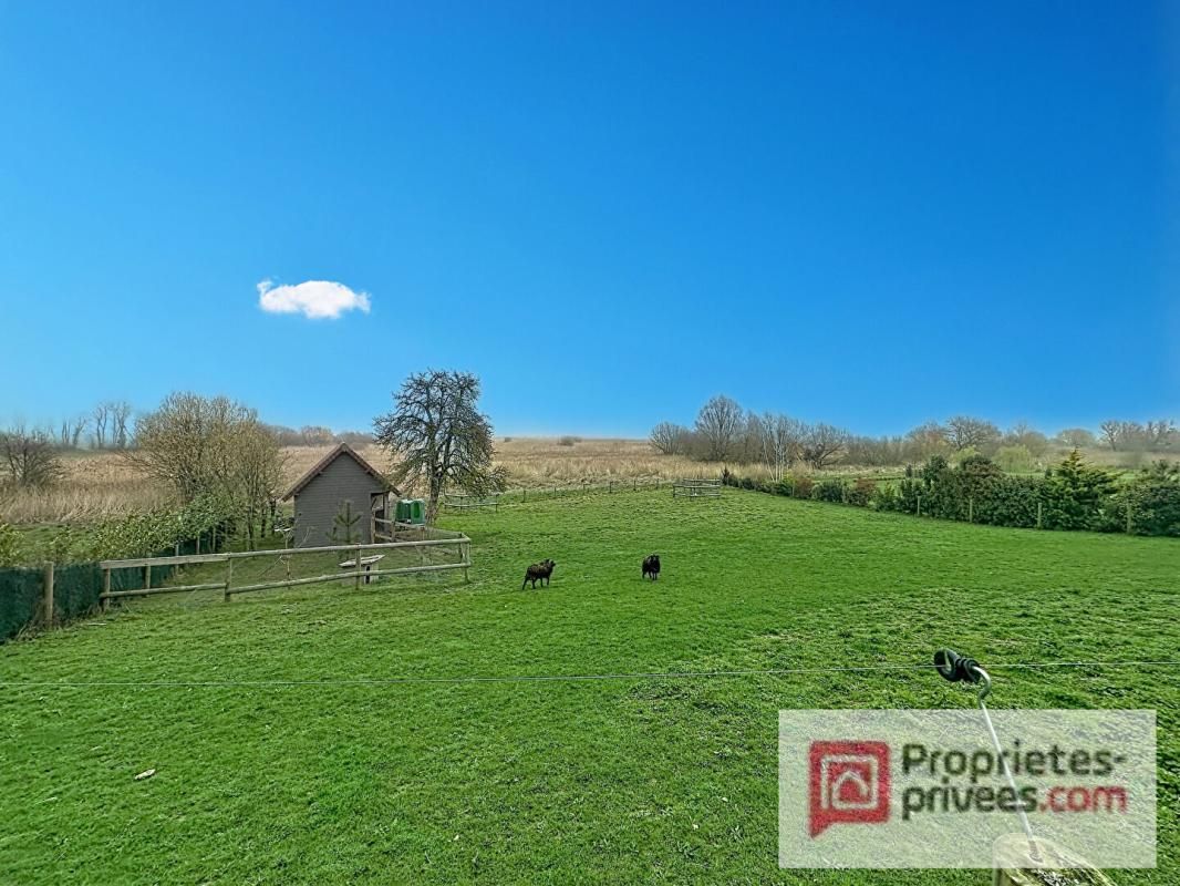 SAINT-ARNOULT Maison d'architecte , aux portes de Deauville, sans vis à vis - DPE B 4