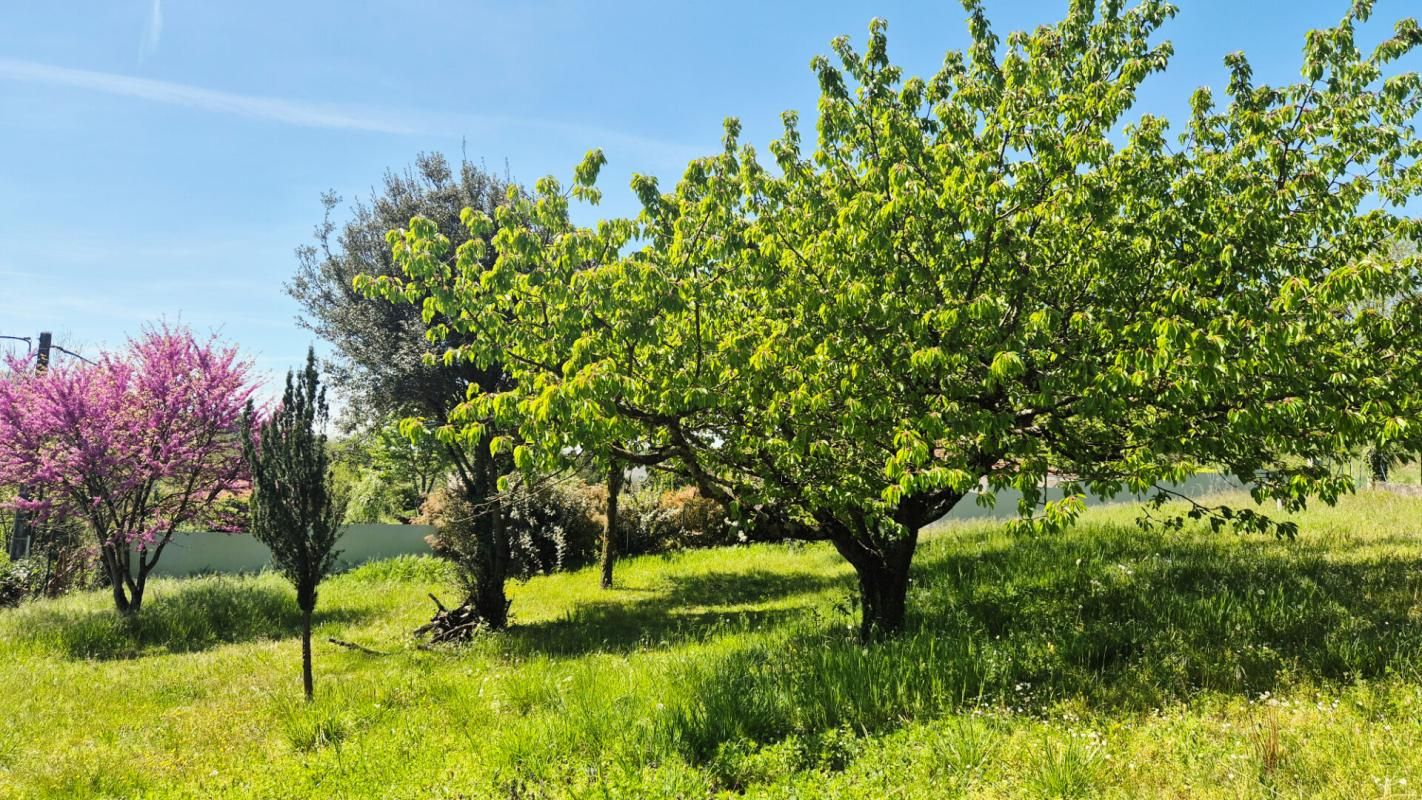 SAINT-LATTIER Terrain Saint Lattier 1193 m2  85 000 Euros 1