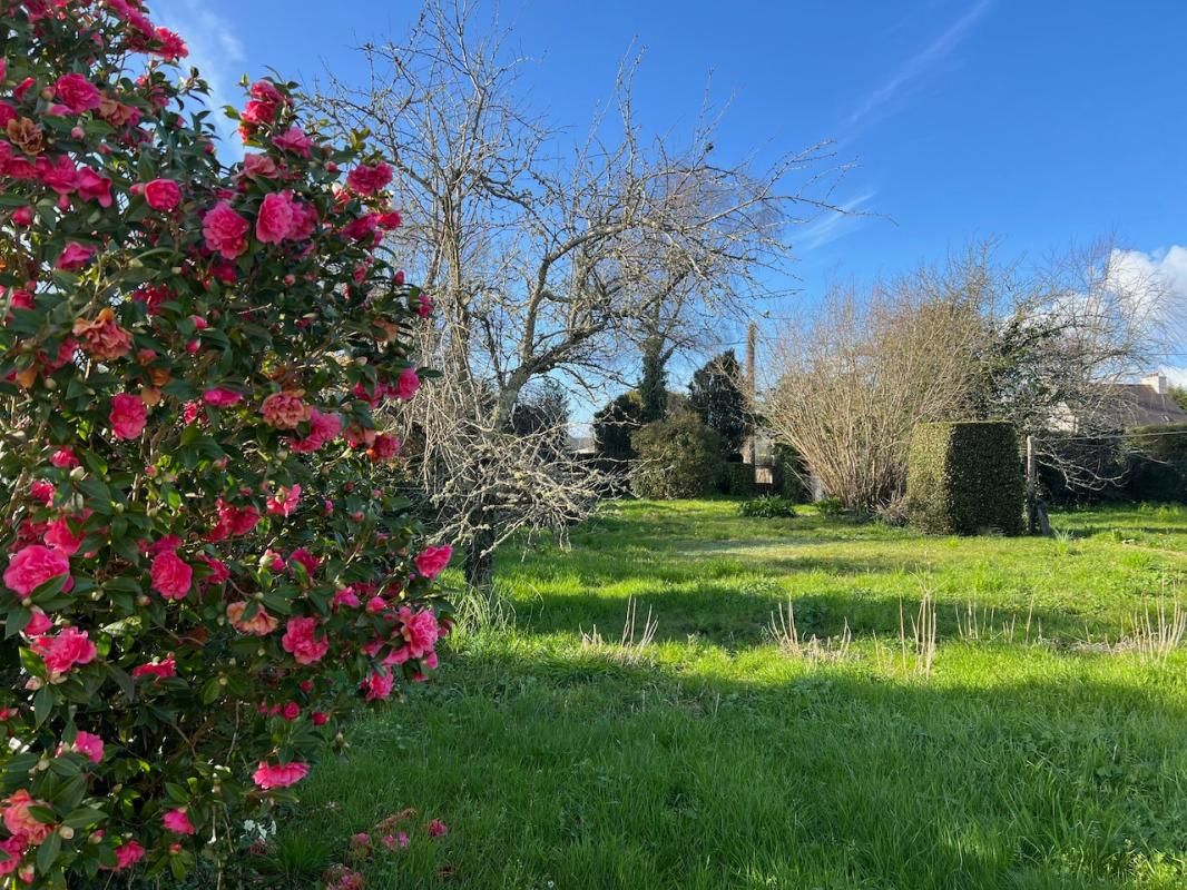 MOELAN-SUR-MER Beau Terrain arboré constructible 820 m2 bourg de Moëlan sur mer 2