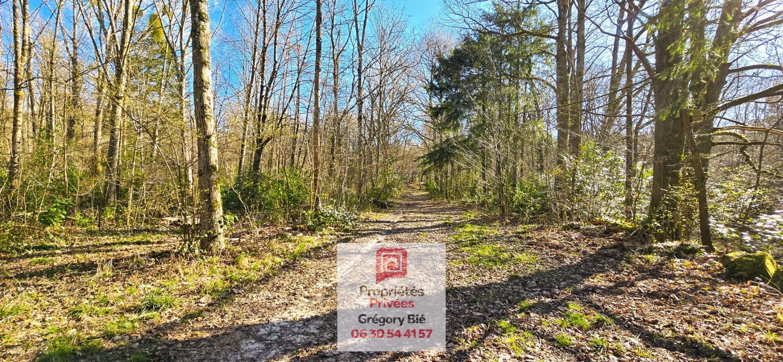 LA FERTE-SOUS-JOUARRE Domaine Forestier 9,6 hectares 1