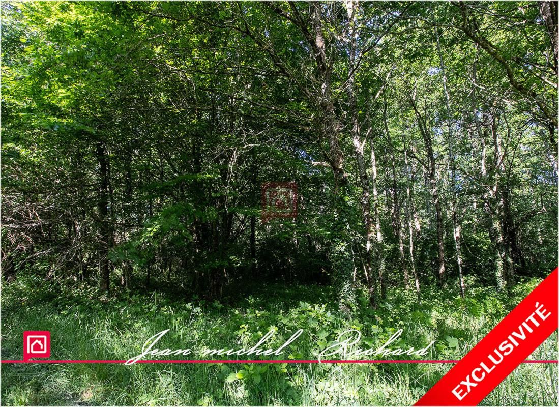 LE CONTROIS-EN-SOLOGNE Terrain de loisirs Le Controis En Sologne 63 m2 1