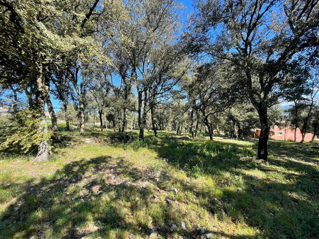 LE THORONET Terrain constructible 2214 m2 3