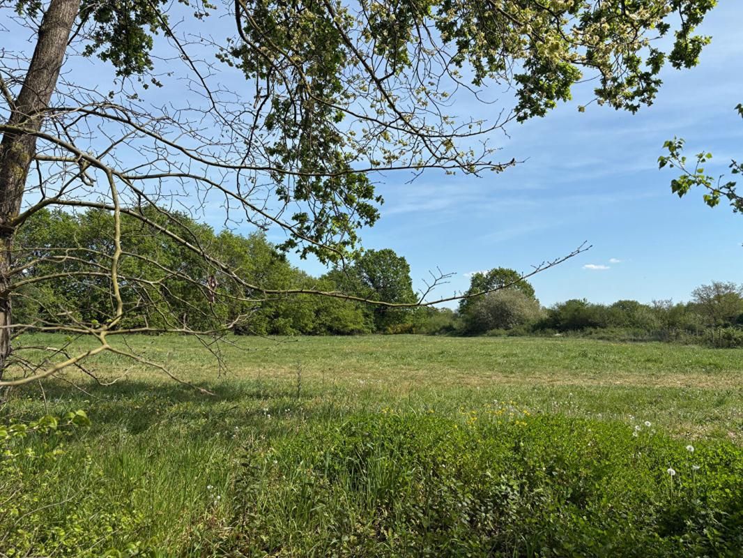 Terrain Ecuille 660 m2