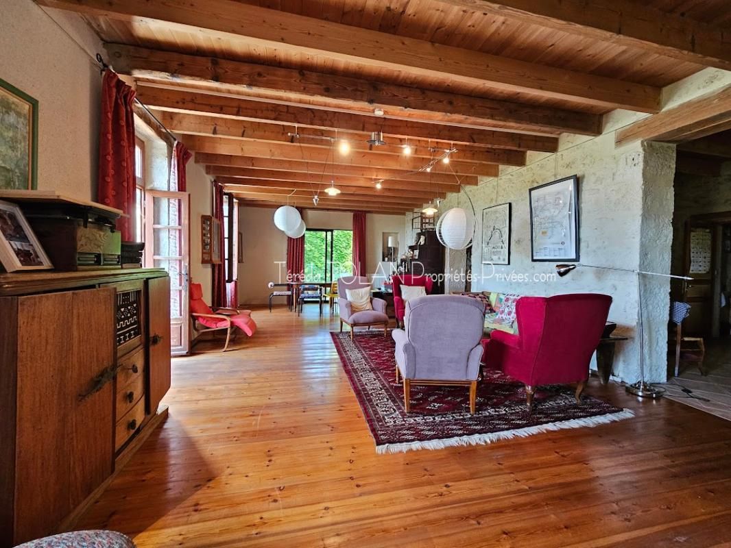 LAROQUE-TIMBAUT Laroque-Timbaut, maison 18ème, 324 m², 10 pièces, double garage, terrasses, vue 3