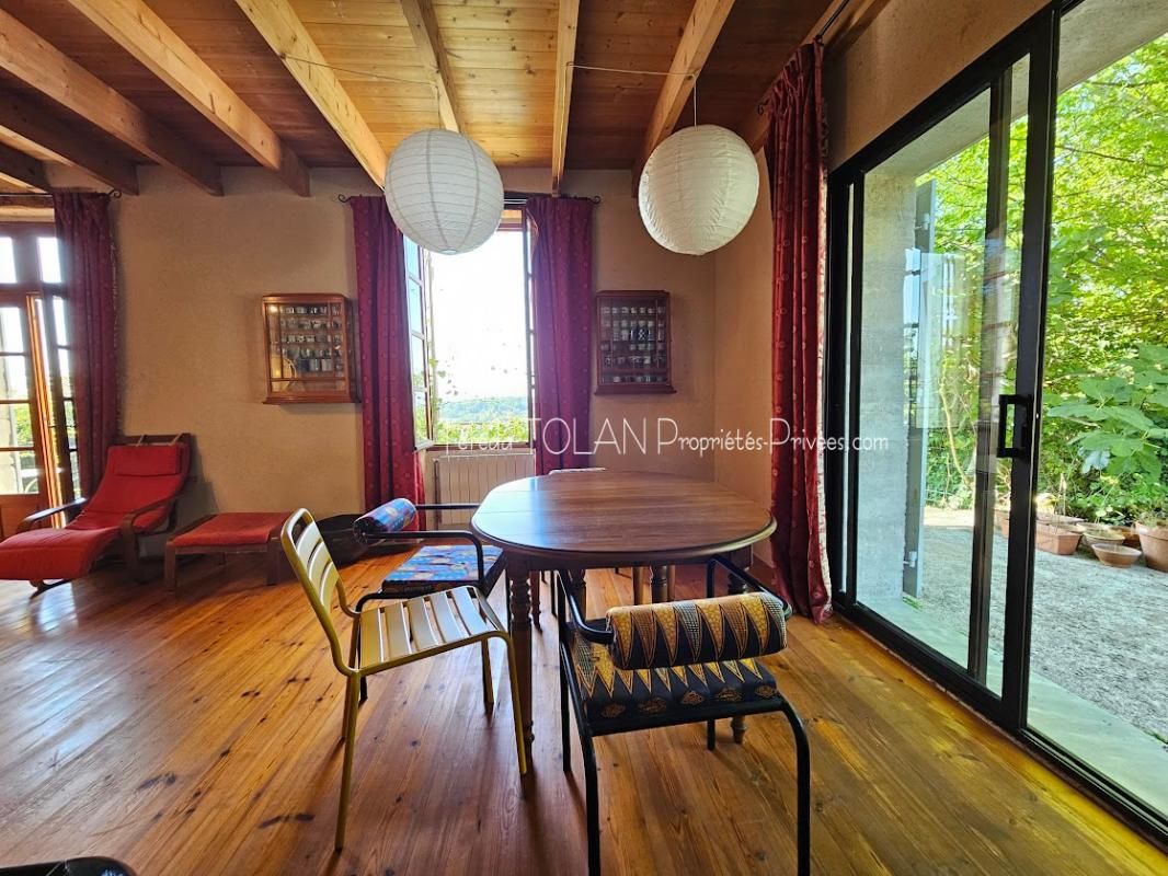 LAROQUE-TIMBAUT Laroque-Timbaut, maison 18ème, 324 m², 10 pièces, double garage, terrasses, vue 4