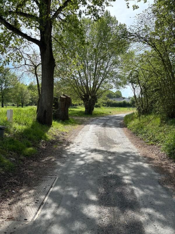 SOULAIRE-ET-BOURG Terrain Ecuillé 599 m2 2