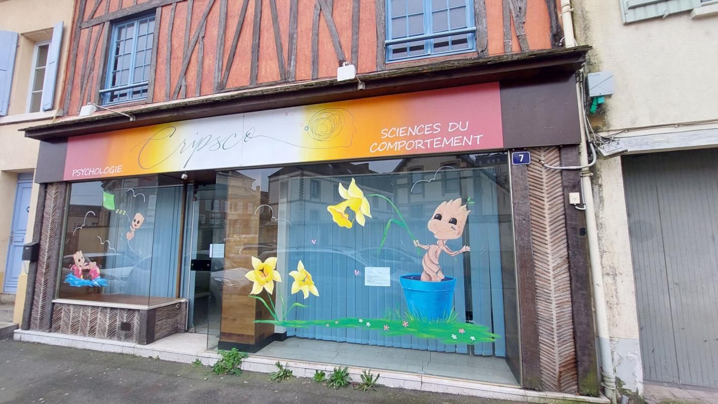 DREUX Immeuble centre ville Dreux 12 pièce(s) 265 m2 2