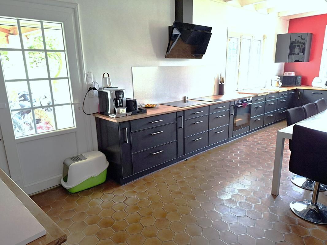 SAINT-SAVINIEN Maison  Saint Savinien17350  189 m2 + Garage et Dépendances 2