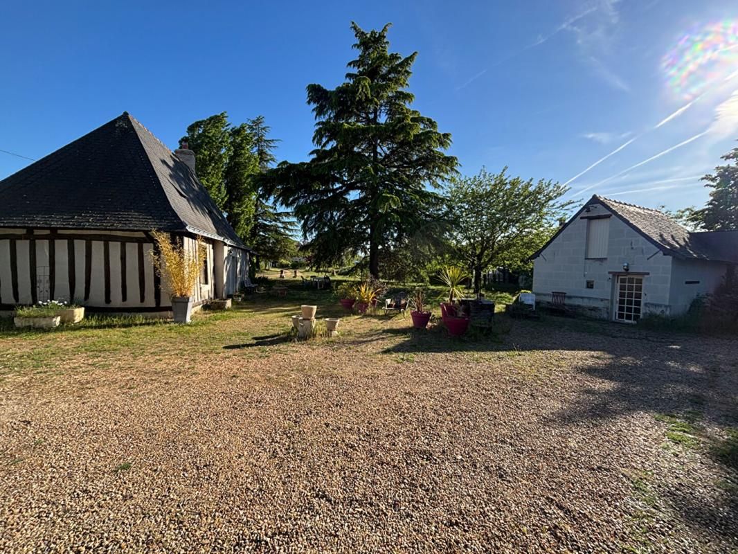 BEAUFORT-EN-VALLEE Demeure de prestige 7 pièce(s) 206 m2 - 3 biens distincts 4