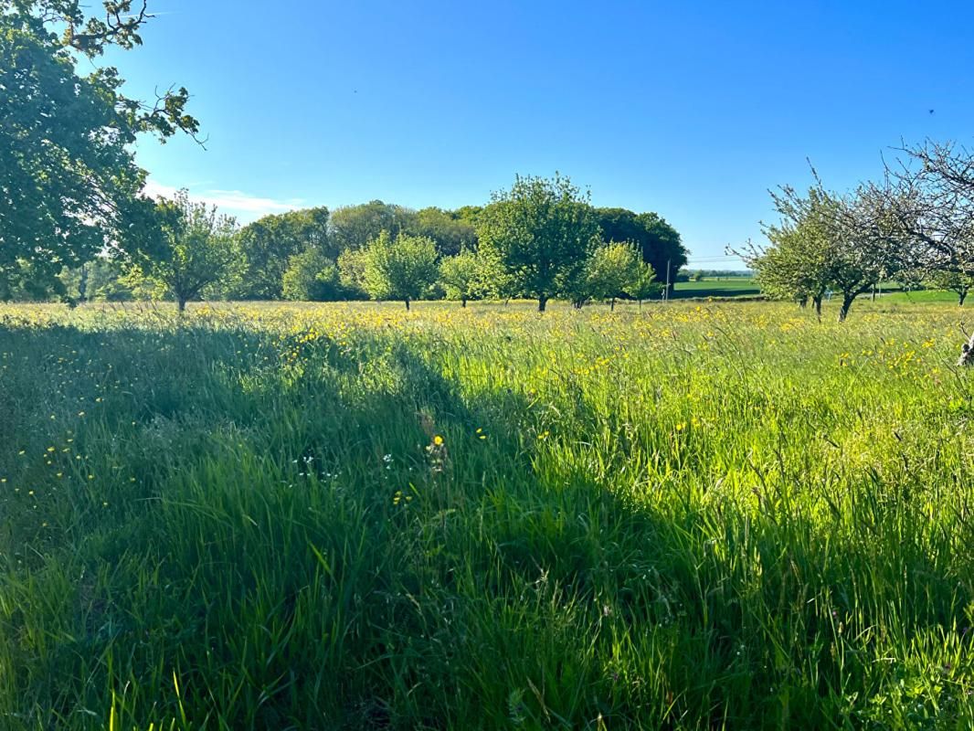 SAINT-MARC-DU-COR LONGERE     20MN  VENDOME TGV      CADRE CHAMPETRE 4