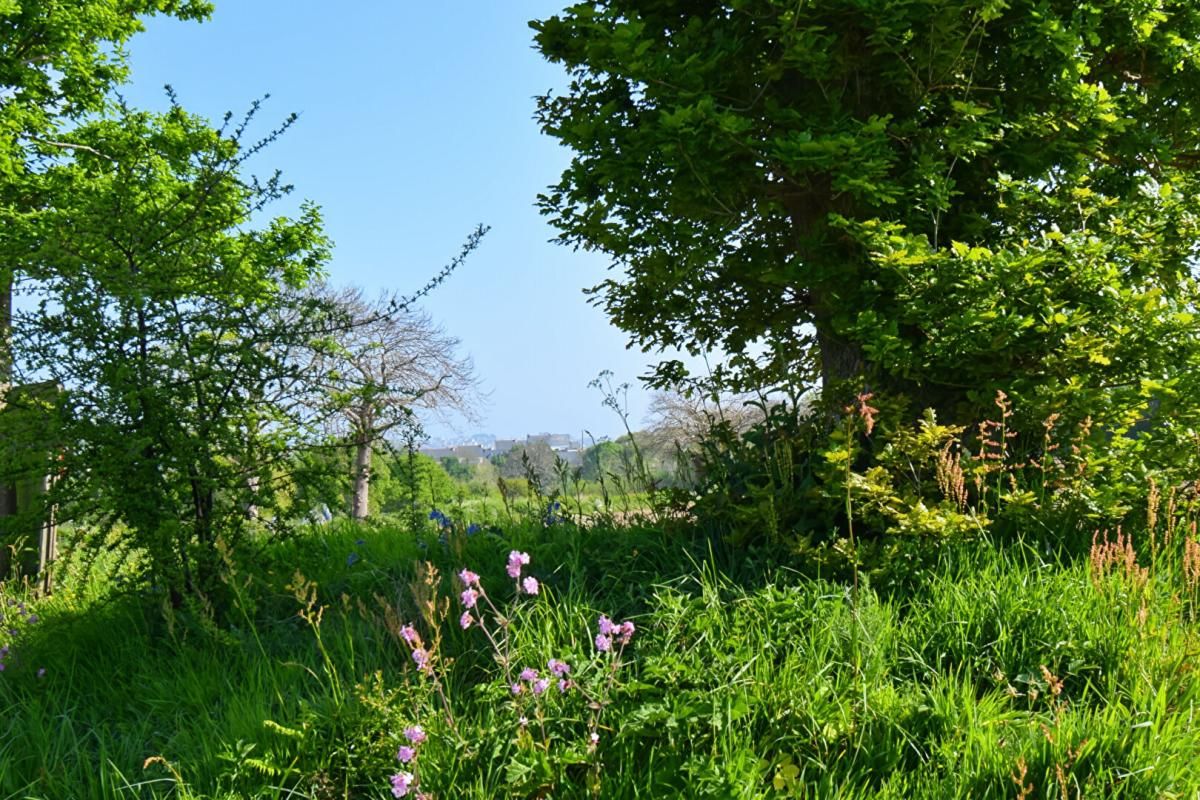 SAINT-QUAY-PERROS Vente terrain à bâtir viabilisé 790 m², au calme, Saint-Quay-Perros (22700) 3